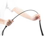 WhipTease Flex Wand Flogger