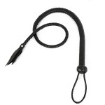 Twisted Temptation Bullwhip