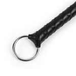 Spiked Passion Dominator Whip