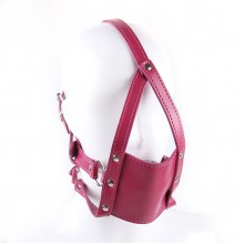 Dual-Strap Leather Gag Harness