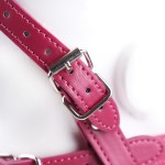 Dual-Strap Leather Gag Harness