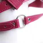 Dual-Strap Leather Gag Harness