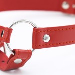 Silken Bite Ringed Ball Gag