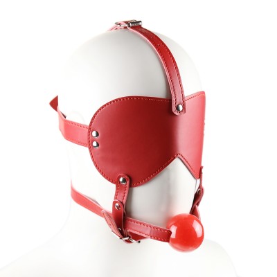 Blindfold Ball Gag Head Harness