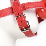 Blindfold Ball Gag Head Harness