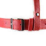 Blindfold Ball Gag Head Harness