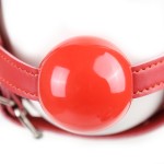 Blindfold Ball Gag Head Harness