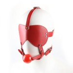 Blindfold Ball Gag Head Harness