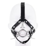 Silver Spider Leather Harness