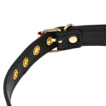 Circle Statement Gag Choker