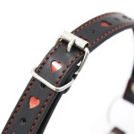 SweetHeart Ball Gag with Adjustable Leather Strap
