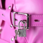 Enclosure Locking Bondage Hood