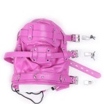 Enclosure Locking Bondage Hood