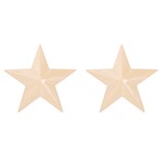 PiercePoint Star Nipple Shields