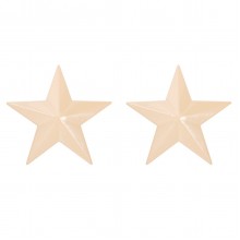 PiercePoint Star Nipple Shields