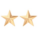 PiercePoint Star Nipple Shields