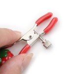 Strawberry-Infused Nipple Clamps 