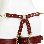 Luxe Y-Link Rear Restraint Connector