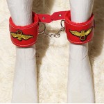 LYJ Flight Attendant Leather & Plush 8-Piece Bondage Set