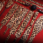 LYJ Leopard Print 10-Piece Bondage Set