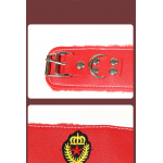 LYJ Royal Guard 12-Piece Bondage Set