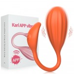 Kari App Vibrator