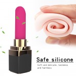 Fashion Discreet Joy TeaseStick