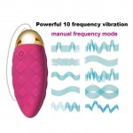 Nova Love Egg Joy Vibe