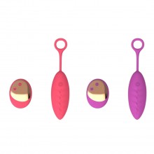 NinjaDart WhisperBloom Joy Vibe