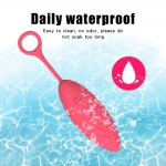 NinjaDart WhisperBloom Joy Vibe