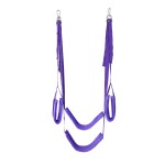 Mounted Pleasure Door Swing 