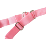 Side by Side Bondage Door Swing