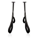 Side by Side Bondage Door Swing