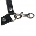 Stimulating Nipple Clamps feat Ball Gag